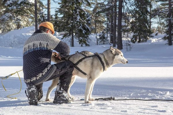 Comment organiser une expédition de chien de traîneau en Alaska, USA ?